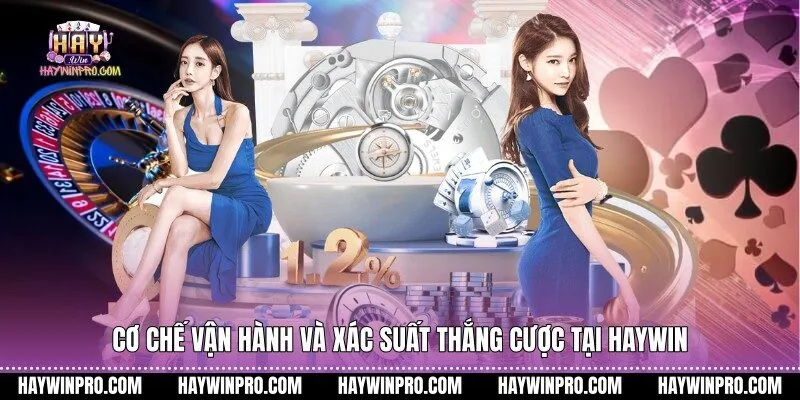 Cơ chế vận hành và xác suất thắng cược tại Haywin