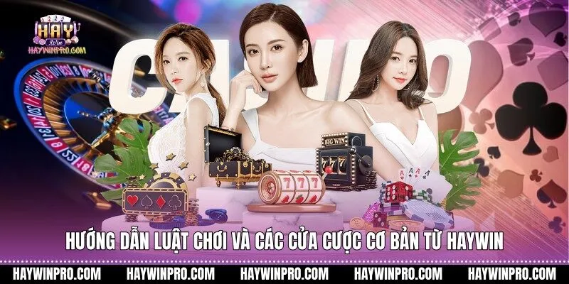 Hướng dẫn luật chơi và các cửa cược cơ bản từ Haywin
