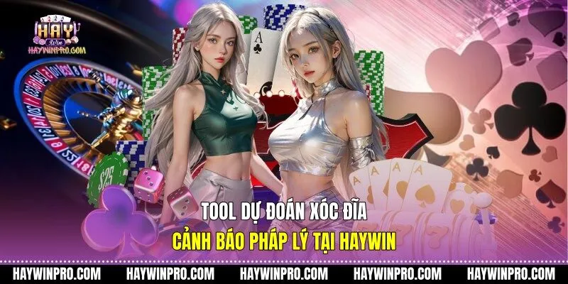 tool dự đoán xóc đĩa